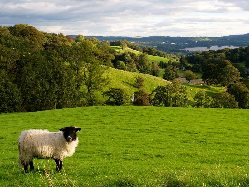 Towards Windermere
