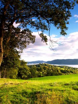 Windermere evening