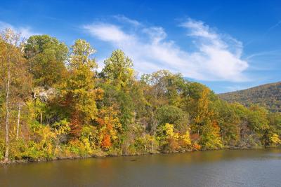 CRW_2706.jpg