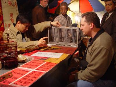 Fortune Teller at the Night Market (The Birds Pick Your Fortune)
