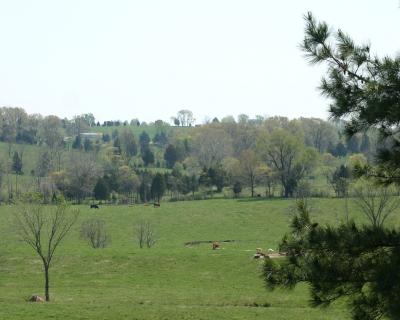 Scenery