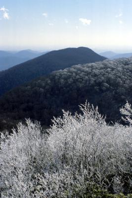 View from Standing Indian Mtn (Appalachian Trail)