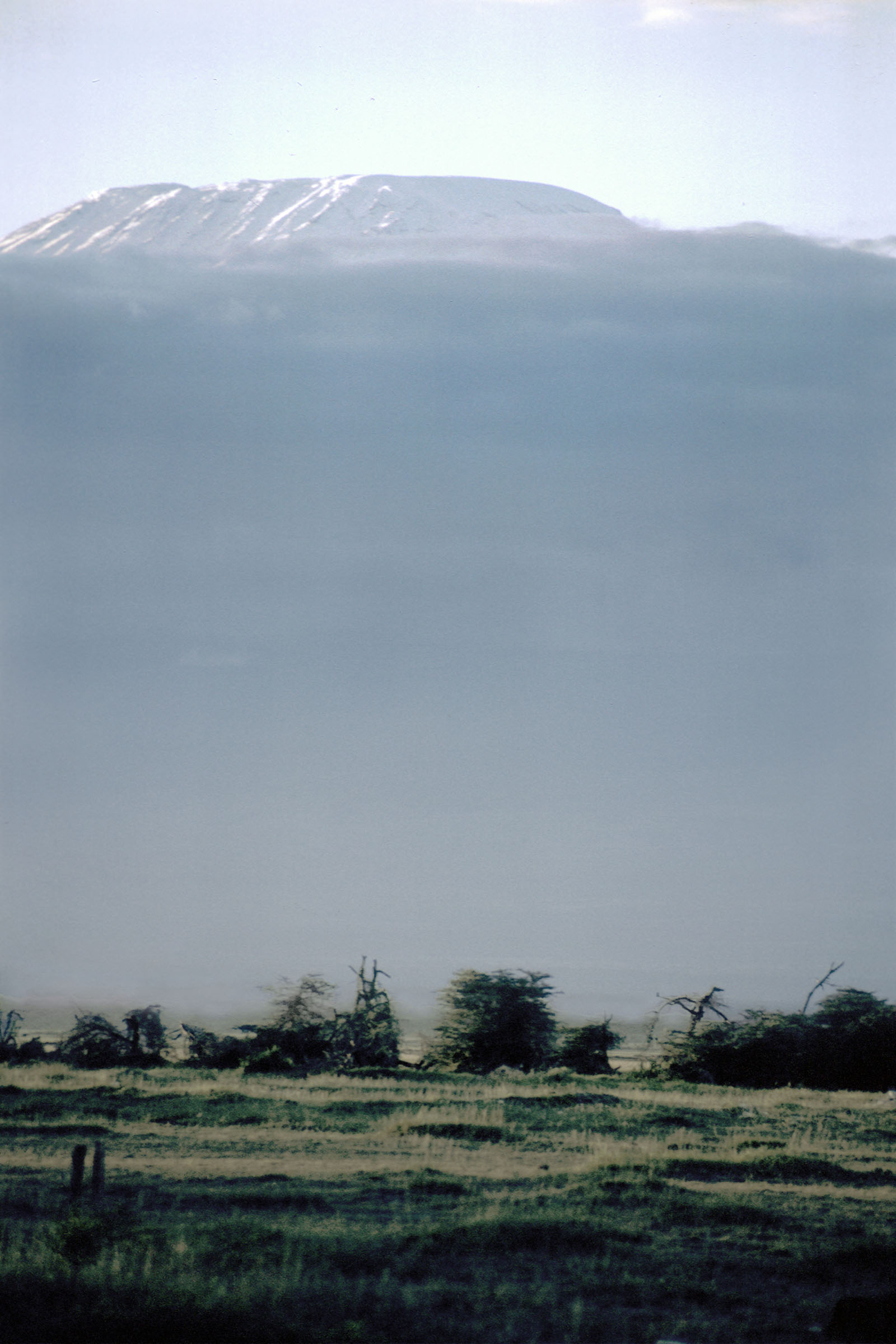 Mt. Kilimanjoro (Kibo)
