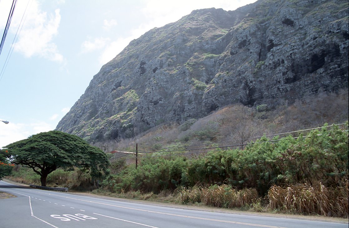 23-10 Tree across highway by the Estate