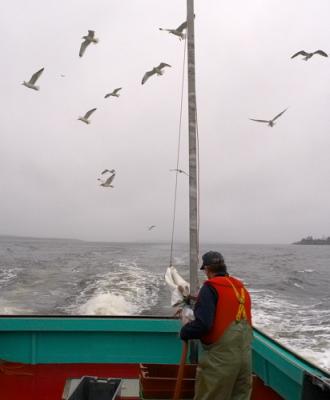 Opening Day of Lobster Season