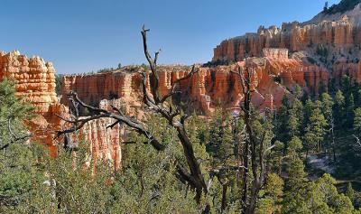 View Along the Fairyland Canyon Trail