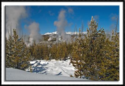 The Norris Geyser Basin