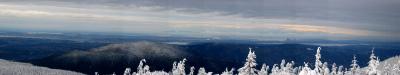 u36/gtach/medium/23532826.SquakCougarSeattlefromT1.jpg