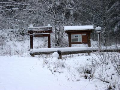 12.28.2003<br> </br><br>Paw Print Rest Stop</br>