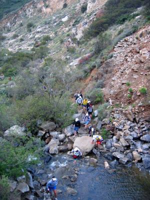 Looking into the canyon