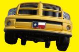 Yellow Rose of Texas.jpg