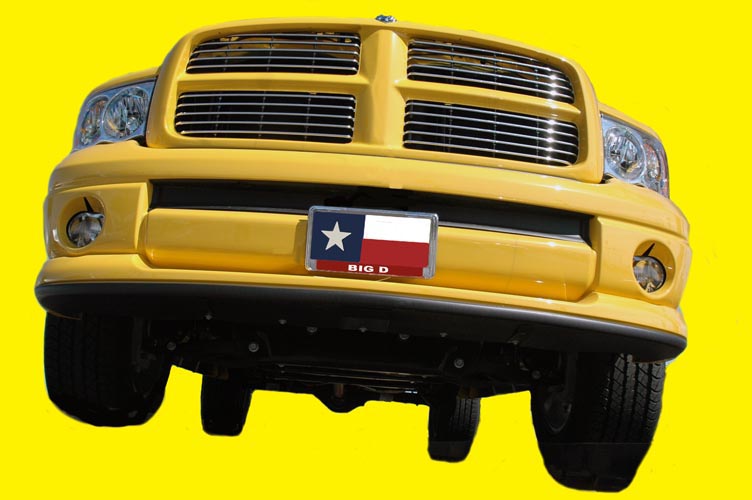 Yellow Rose of Texas.jpg