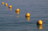 26 Floats.