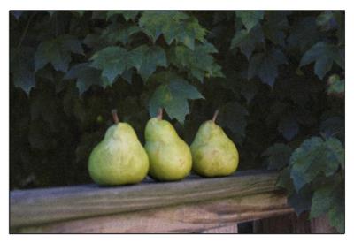 : Pears on Railing :