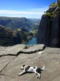 Joop's Dog Log - Wednesday August 04