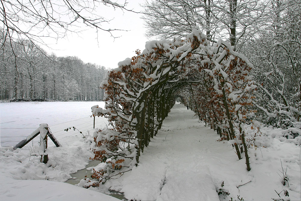 De Braak berceau