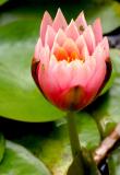 IMG_2929 qbe.jpg