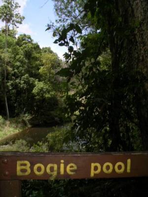 Eungella Bogie Pool.JPG