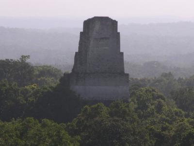 Tikal - Mayan skyscrapers in the jungle