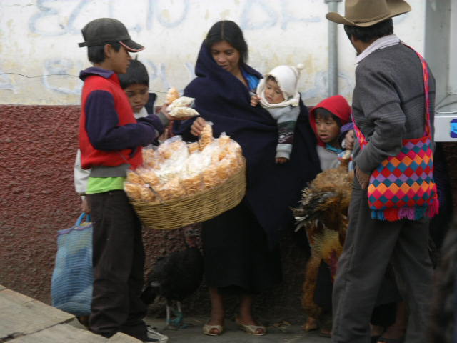Chips for turkey?.JPG