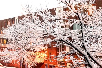 March snow in Amsterdam