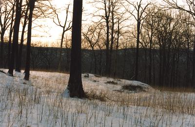 File1605.jpg