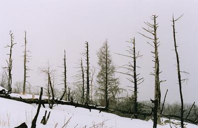 File1599.jpg