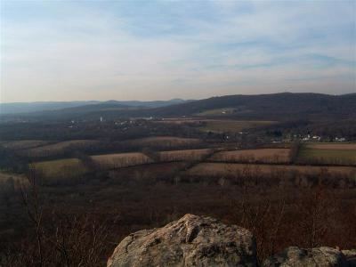 DSCF0001 (Medium).JPG