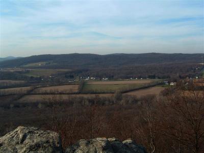 DSCF0003 (Medium).JPG
