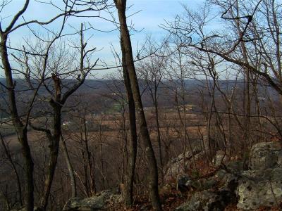 DSCF0007 (Medium).JPG