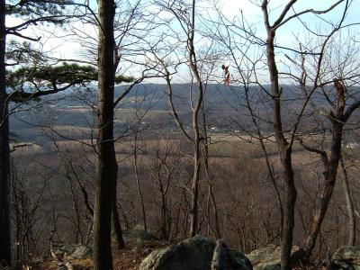 DSCF0008 (Medium).JPG