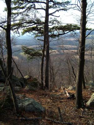 DSCF0009 (Medium).JPG