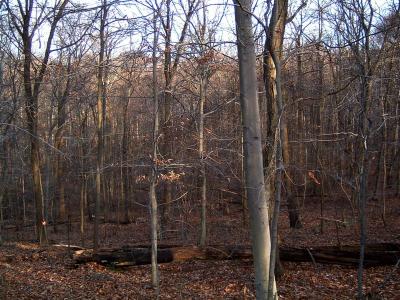 DSCF0010 (Medium).JPG