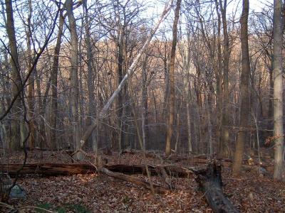 DSCF0012 (Medium).JPG