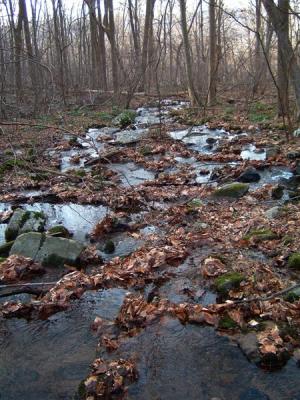 DSCF0013 (Medium).JPG