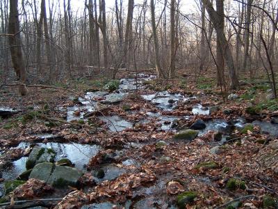 DSCF0014 (Medium) (2).JPG