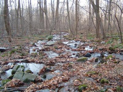 DSCF0014 (Medium) (Medium).JPG