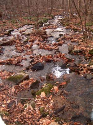 DSCF0015 (Medium) (2).JPG