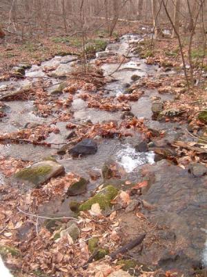 DSCF0015 (Medium) (Medium).JPG