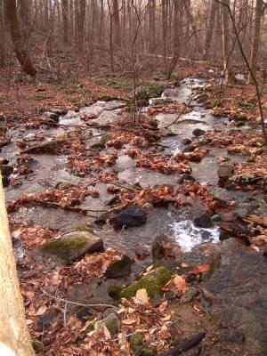 DSCF0016 (Medium) (2).JPG