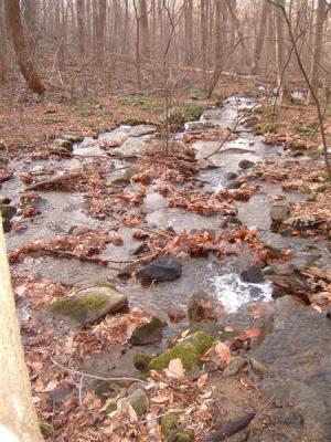 DSCF0016 (Medium) (Medium).JPG