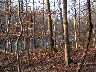 Musconetcong River