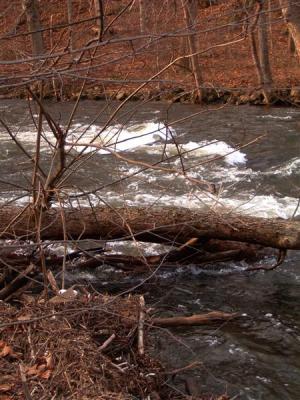 Musconetcong River