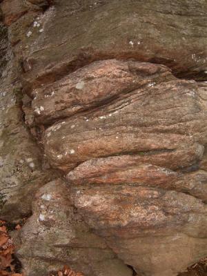 DSCF0026 (Medium).JPG
