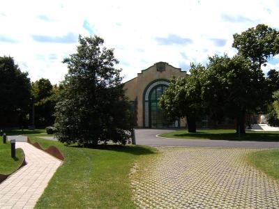 DSCF0001 (Medium).JPG