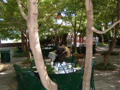 DSCF0004 (Medium).JPG