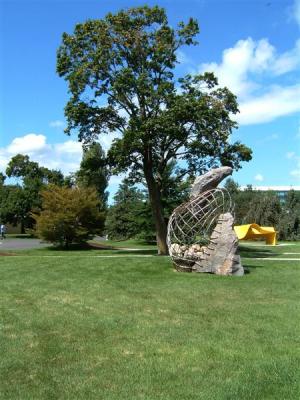 DSCF0010 (Medium).JPG
