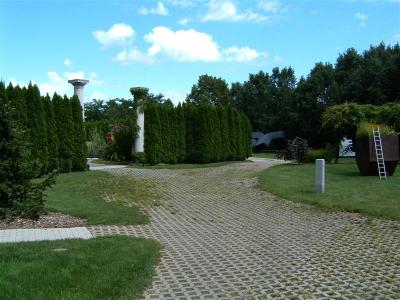 DSCF0017 (Medium).JPG