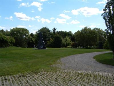 DSCF0018 (Medium).JPG