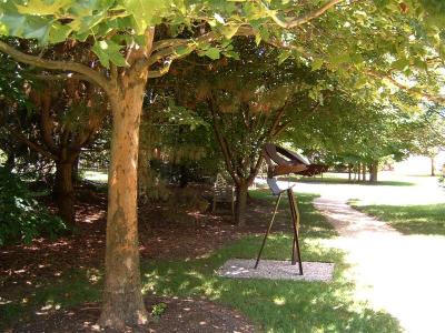 DSCF0031 (Medium).JPG
